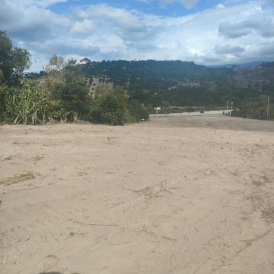 Imagen de WhatsApp 2025-03-05 a las 13.01.21_df43902f